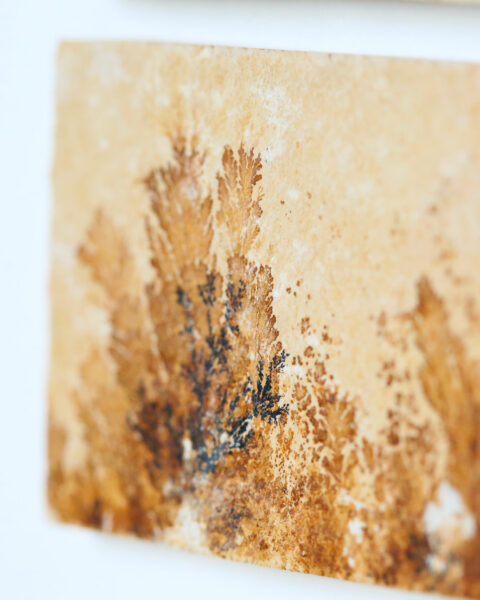 pierre-mineral-dendrite-cadre-en-chene-origine-atelier-floral.2