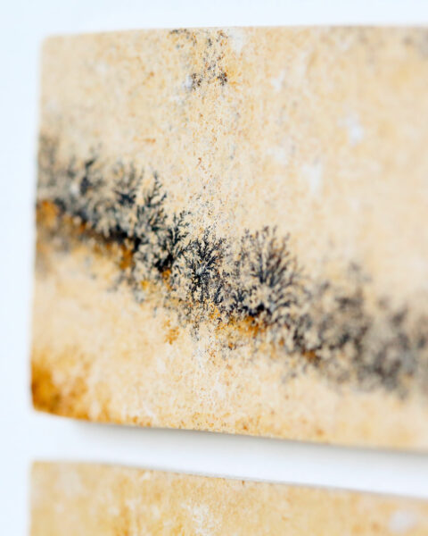 pierre-mineral-dendrite-cadre-en-chene-origine-atelier-floral.2