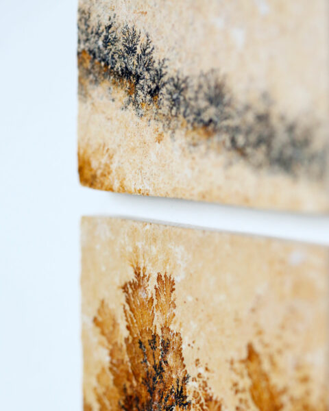 pierre-mineral-dendrite-cadre-en-chene-origine-atelier-floral.2