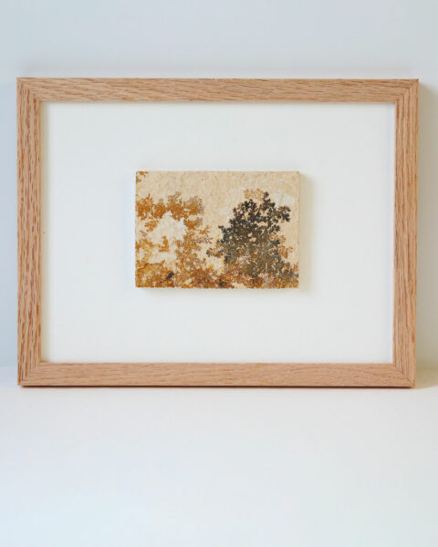 pierre-mineral-dendrite-cadre-en-chene-origine-atelier-floral.2