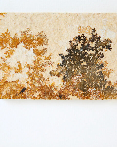 pierre-mineral-dendrite-cadre-en-chene-origine-atelier-floral.2