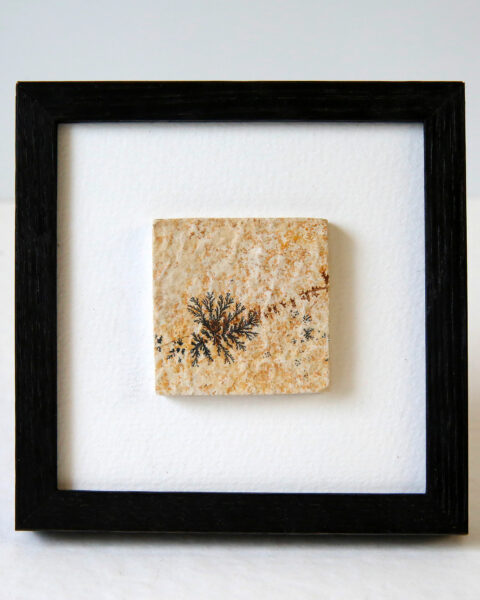 pierre-mineral-dendrite-cadre-en-chene-origine-atelier-floral.2