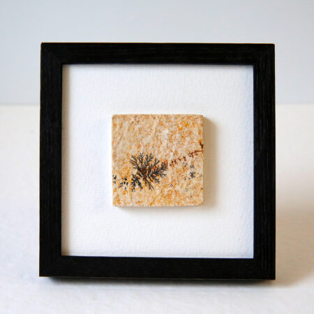 pierre-mineral-dendrite-cadre-en-chene-origine-atelier-floral.6