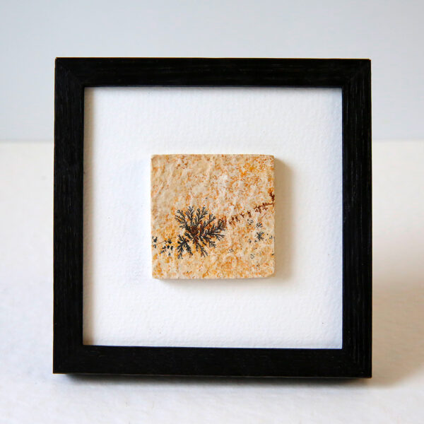 pierre-mineral-dendrite-cadre-en-chene-origine-atelier-floral.6