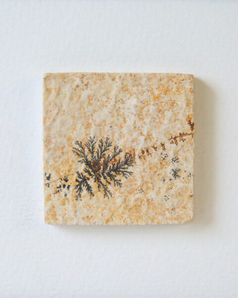 pierre-mineral-dendrite-cadre-en-chene-origine-atelier-floral.2