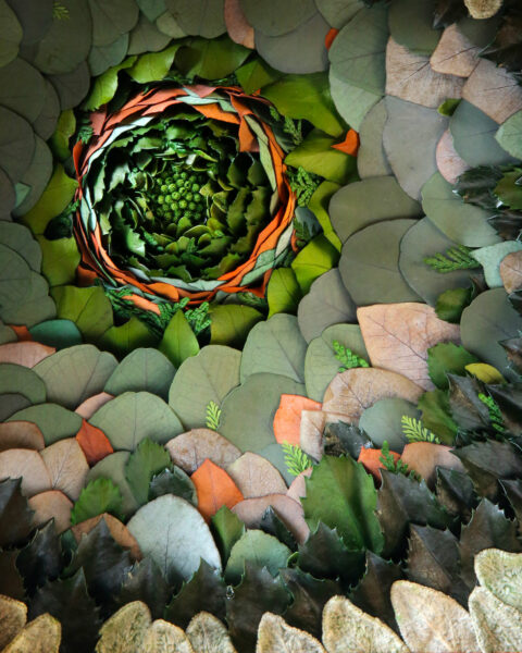 tableau-végétal-Leaf-eruption-origine-atelier-floral-cadre-lilobois-sophie-court.2