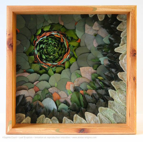 tableau-végétal-Leaf-eruption-origine-atelier-floral-cadre-lilobois-sophie-court.21