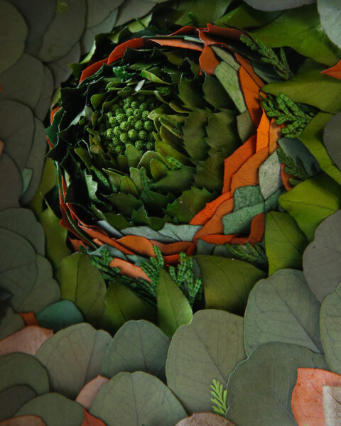 tableau-végétal-Leaf-eruption-origine-atelier-floral-cadre-lilobois-sophie-court.2