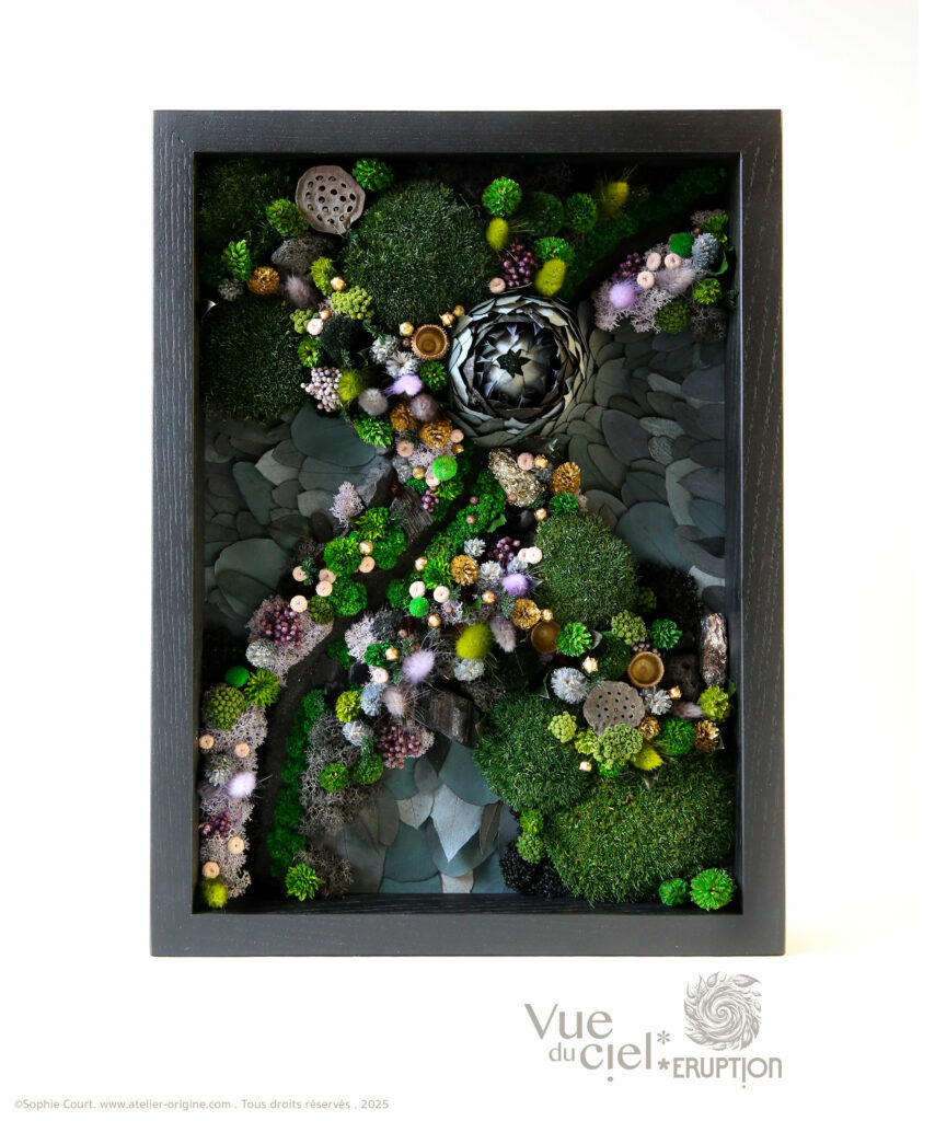 tableau-végétal-foret-vue-du-ciel-darkside-origine-atelier-floral-sophie-court.2