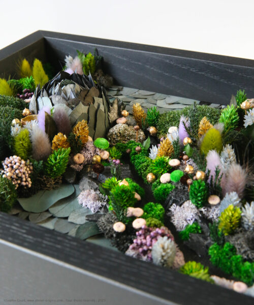tableau-végétal-foret-vue-du-ciel-darkside-origine-atelier-floral-sophie-court.2