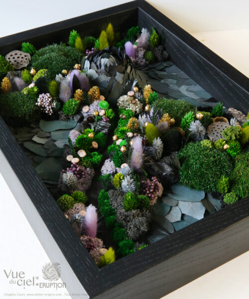 tableau-végétal-foret-vue-du-ciel-darkside-origine-atelier-floral-sophie-court.2