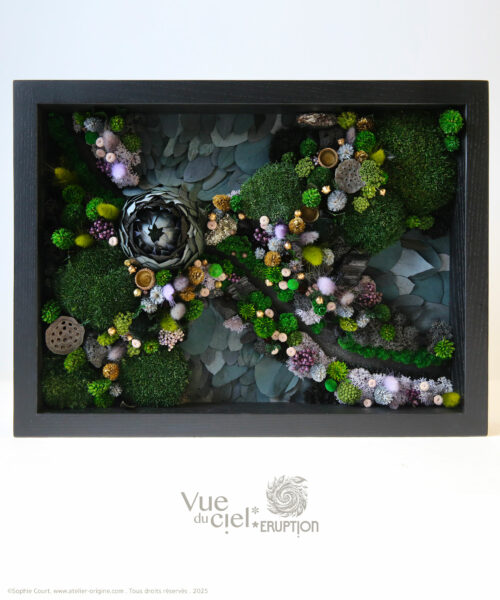tableau-végétal-foret-vue-du-ciel-darkside-origine-atelier-floral-sophie-court.2