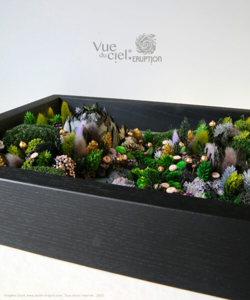 tableau-végétal-foret-vue-du-ciel-darkside-origine-atelier-floral-sophie-court.2
