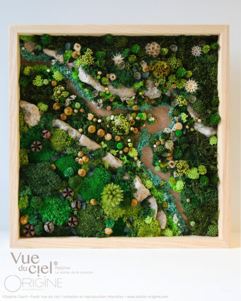 tableau-végétal-foret-vue-du-ciel-origine-atelier-floral-bois-de-paiolive-sentier-de-la-corniche-sophie-court