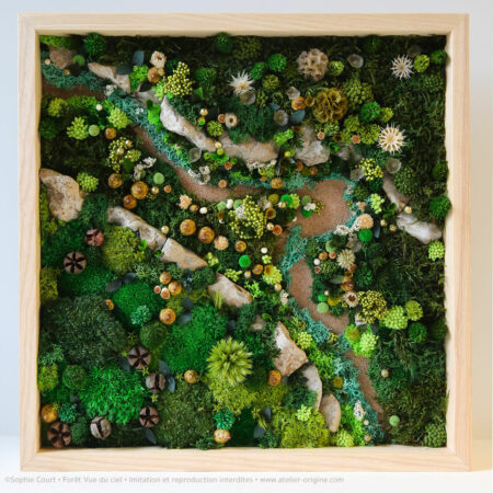 Forêt Vue du ciel • 40 X 40 cm • Païolive : Le sentier de la Corniche