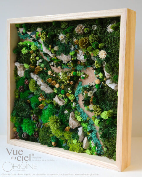 tableau-végétal-foret-vue-du-ciel-origine-atelier-floral-bois-de-paiolive-sentier-de-la-corniche-sophie-court