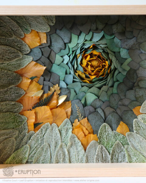 tableau végétal leaf eruption Jonathan origine atelier floral sophie court