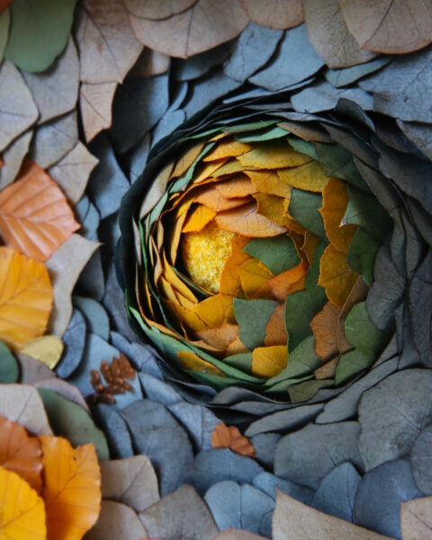 tableau végétal leaf eruption fall origine atelier floral sophie court