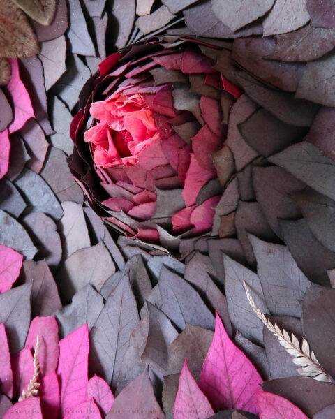 tableau végétal leaf eruption prune origine atelier floral sophie court