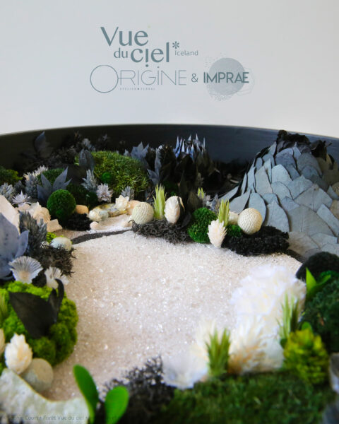 tableau-végétal-mineral-foret-vue-du-ciel-islande-iceland-origine-atelier-floral