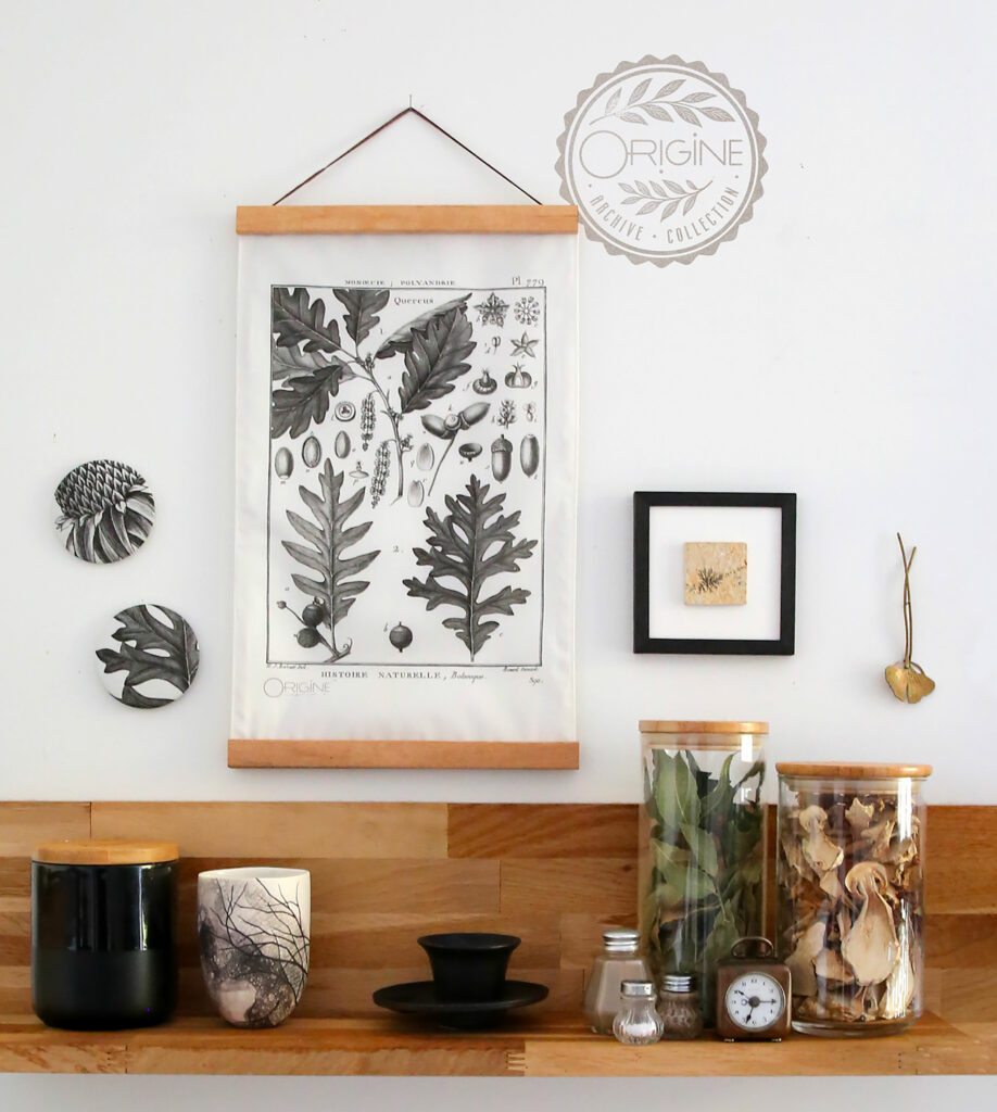 1bouton-collection-déco-reproduction-archive-collection-sophie-court