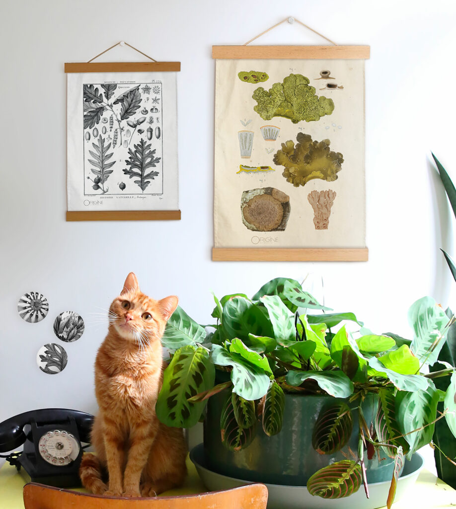 1bouton-collection-déco-reproduction-archive-collection-sophie-court