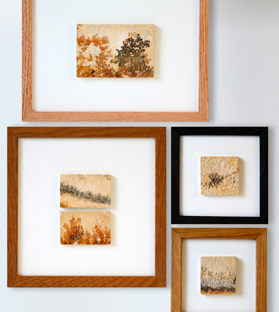1bouton-dendrite-archive-collection-sophie-court