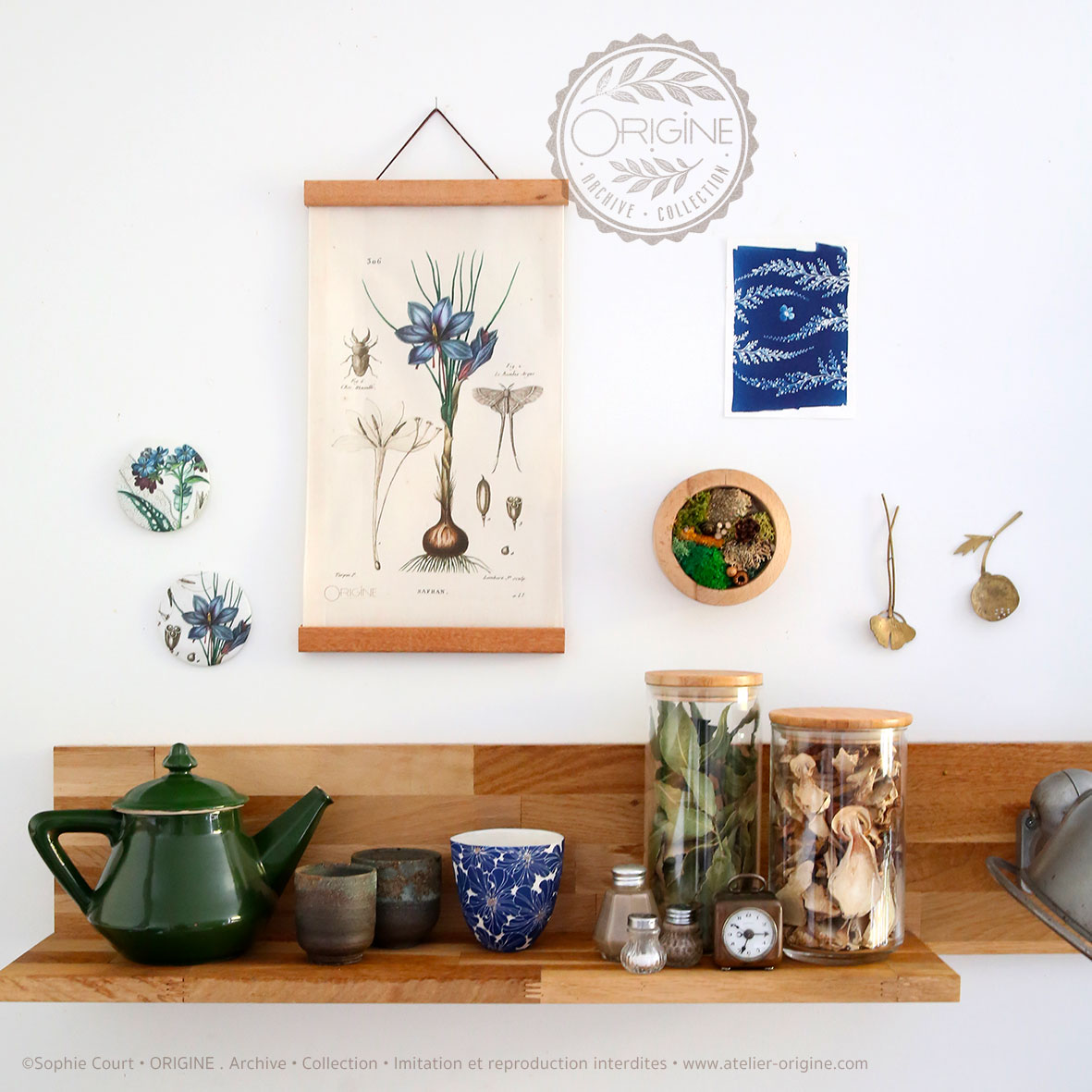 affiche-en-tissu-planche-botanique-origine-archive-collection-sophie-court-1
