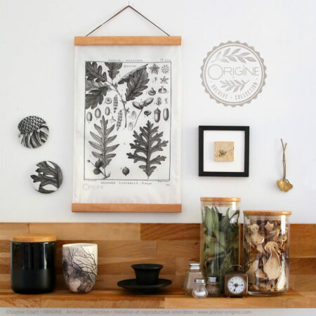 affiche-en-tissu-planche-botanique-origine-archive-collection-sophie-court-1