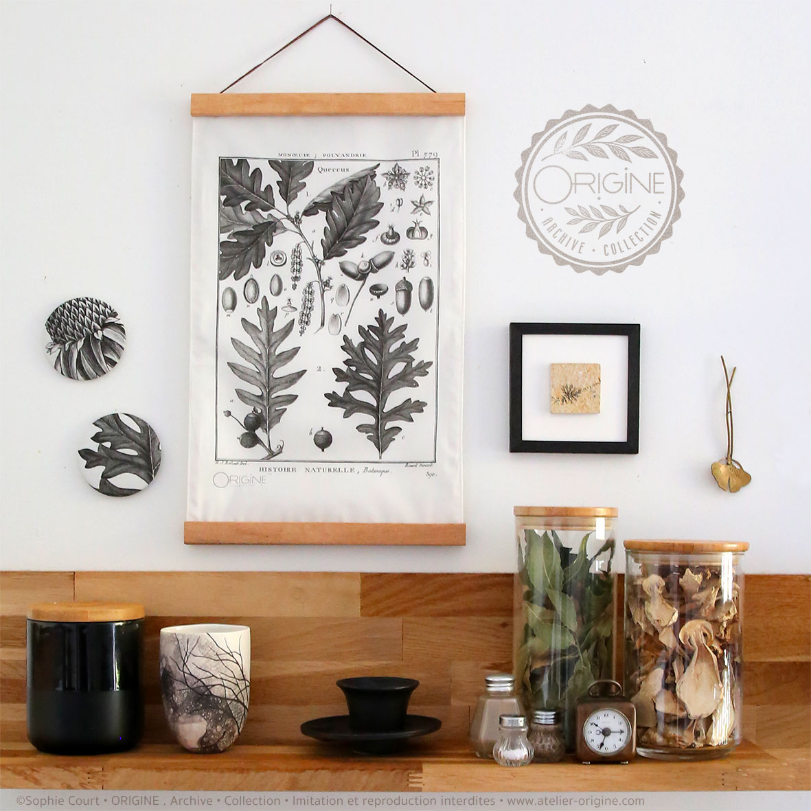affiche-en-tissu-planche-botanique-origine-archive-collection-sophie-court-1