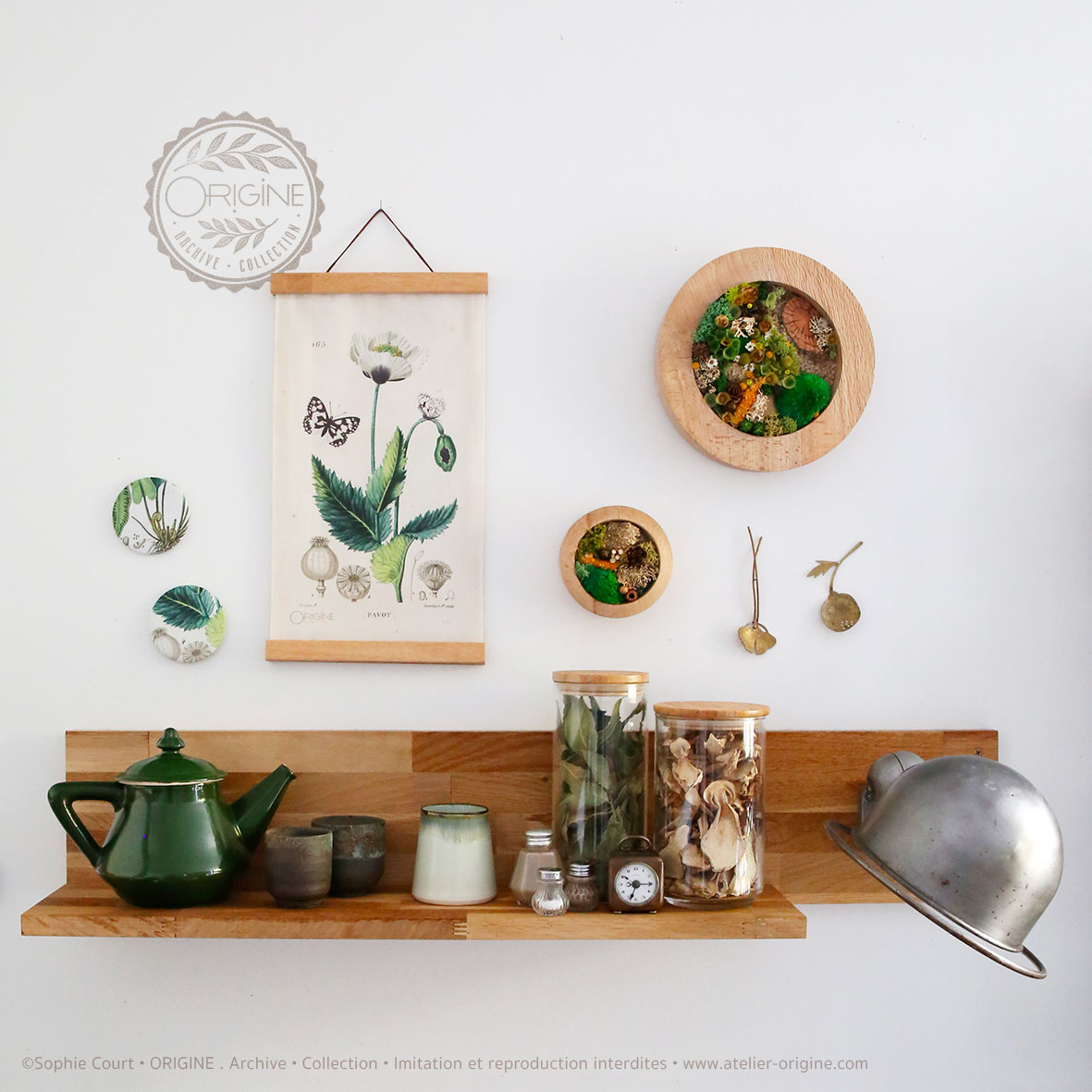affiche-en-tissu-planche-botanique-origine-archive-collection-sophie-court-1