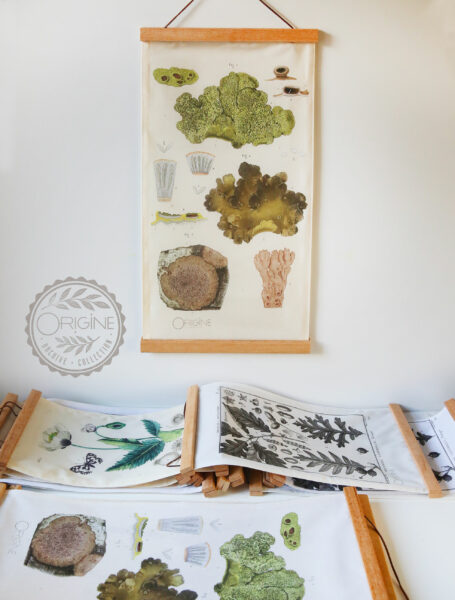 affiche-en-tissu-planche-botanique-origine-archive-collection-sophie-court-7