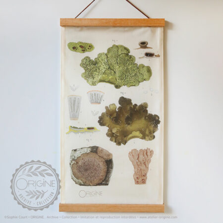 affiche-en-tissu-planche-botanique-origine-archive-collection-sophie-court-1