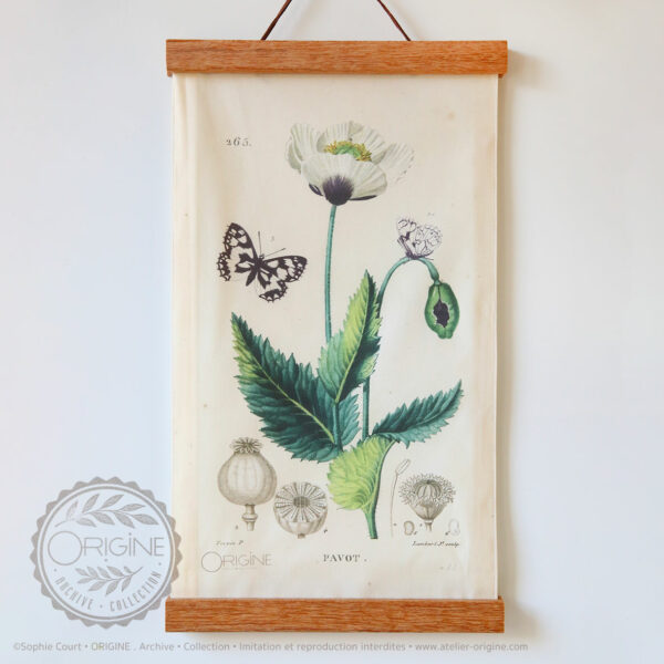 affiche-en-tissu-planche-botanique-origine-archive-collection-sophie-court-1