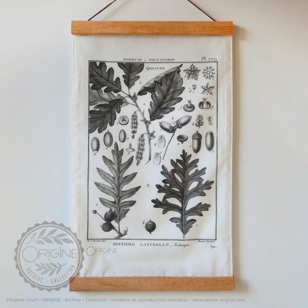 affiche-en-tissu-planche-botanique-origine-archive-collection-sophie-court-1