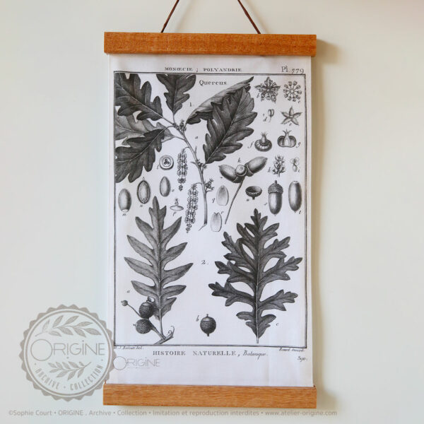 affiche-en-tissu-planche-botanique-origine-archive-collection-sophie-court-1