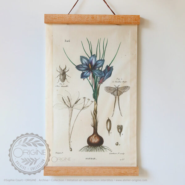 affiche-en-tissu-planche-botanique-origine-archive-collection-sophie-court-1