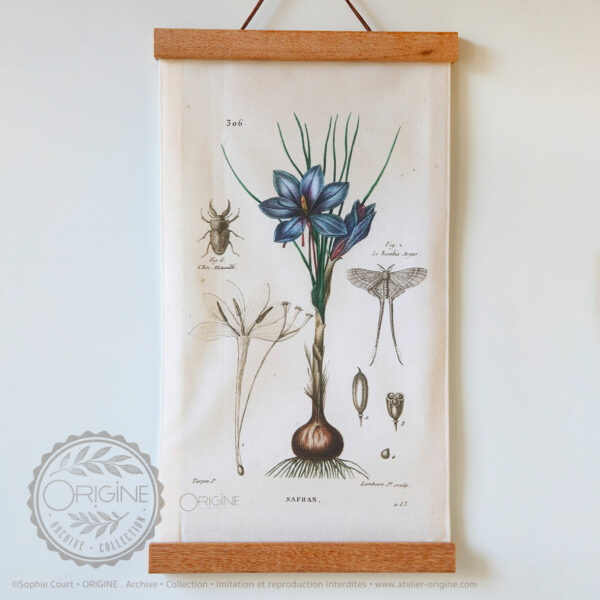 affiche-en-tissu-planche-botanique-origine-archive-collection-sophie-court-1