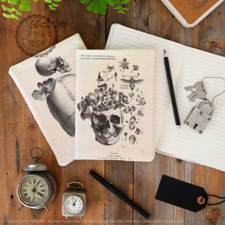 housse de carnet-de-note-tissu-planche-botanique-origine-archive-collection-sophie-court.2