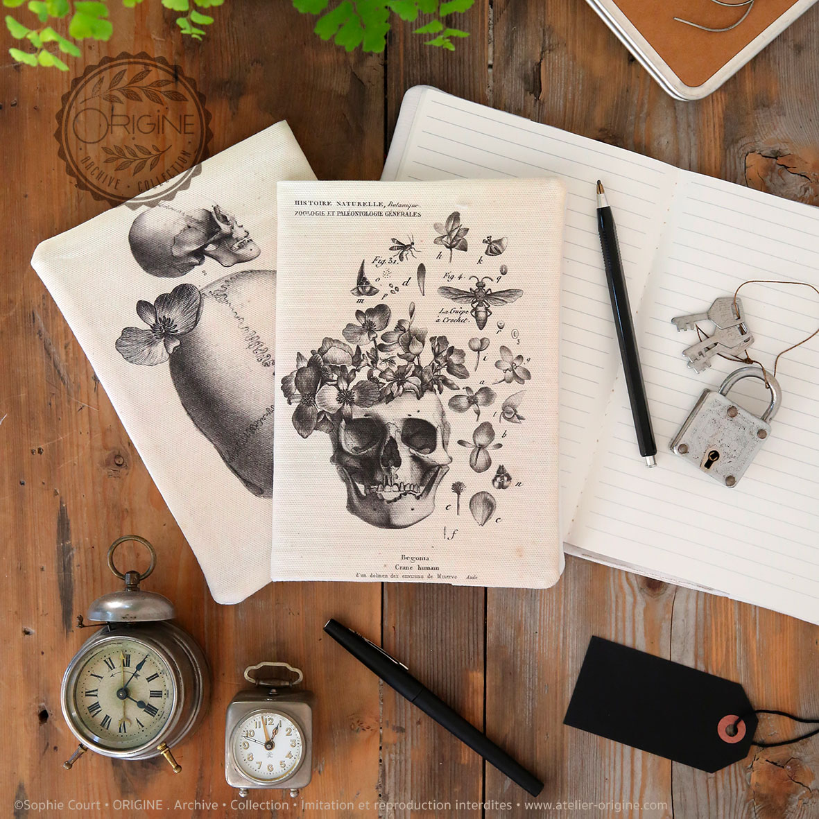 housse de carnet-de-note-tissu-planche-botanique-origine-archive-collection-sophie-court.2