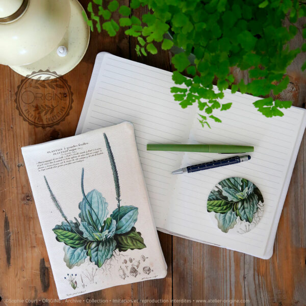 housse de carnet-de-note-tissu-planche-botanique-origine-archive-collection-sophie-court.2