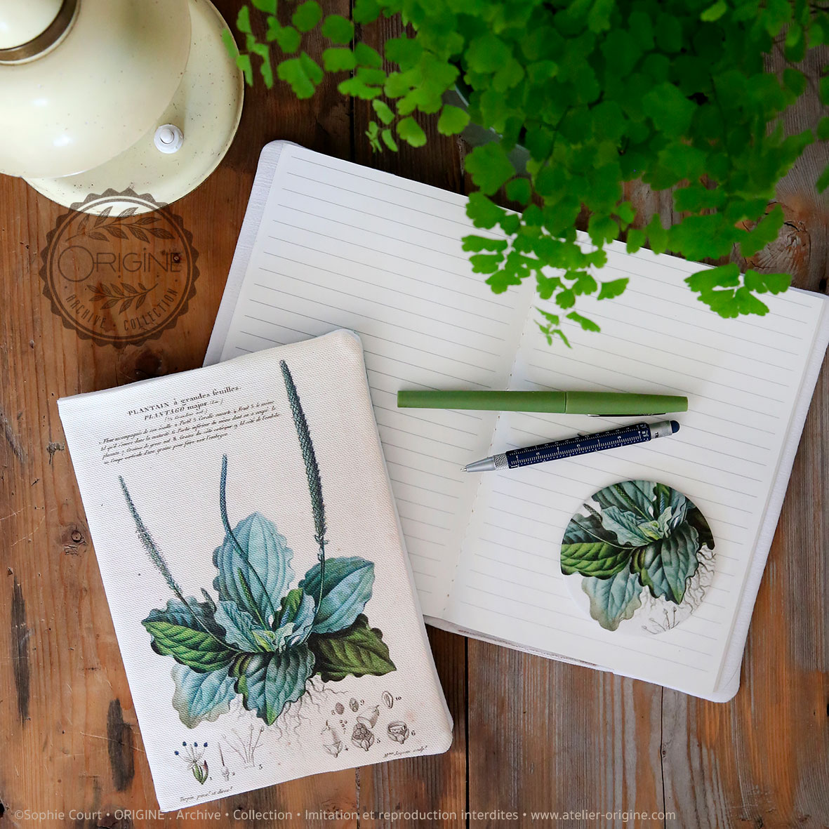 housse de carnet-de-note-tissu-planche-botanique-origine-archive-collection-sophie-court.2