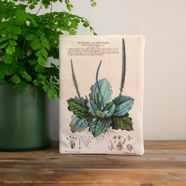 housse de carnet-de-note-tissu-planche-botanique-origine-archive-collection-sophie-court.2