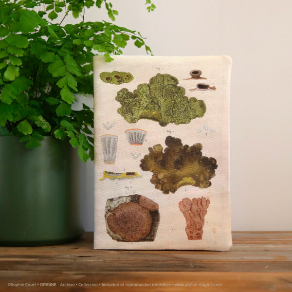 housse de carnet-de-note-tissu-planche-botanique-origine-archive-collection-sophie-court.2