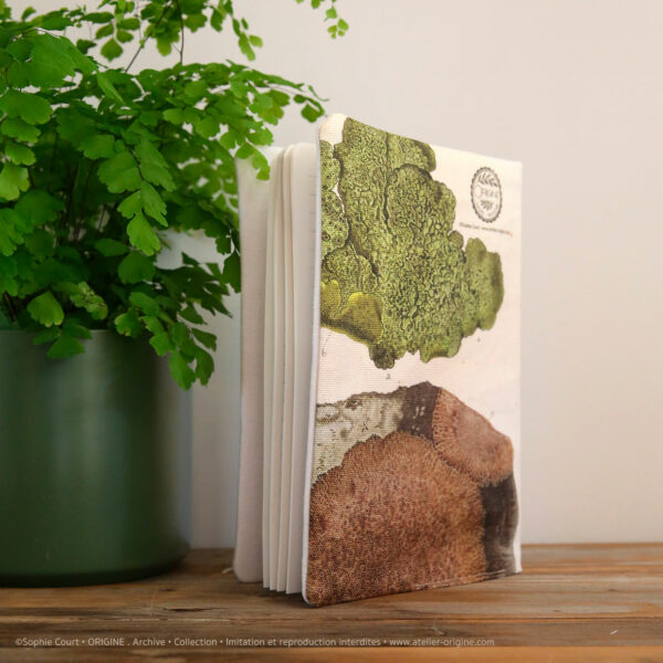 housse de carnet-de-note-tissu-planche-botanique-origine-archive-collection-sophie-court.2