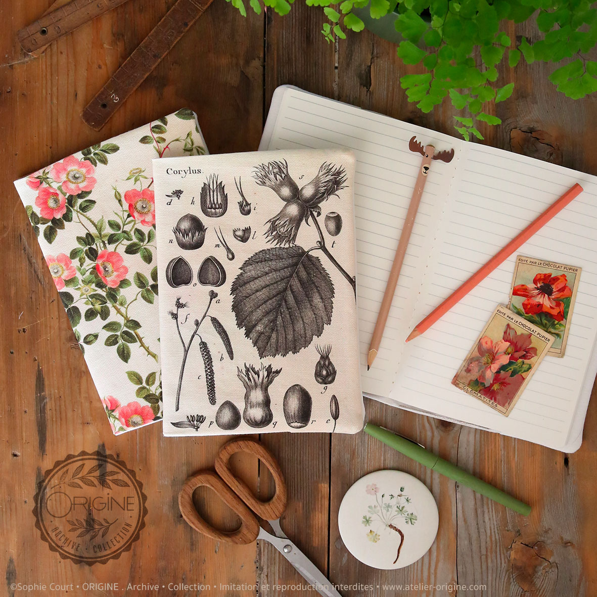 housse de carnet-de-note-tissu-planche-botanique-origine-archive-collection-sophie-court.2