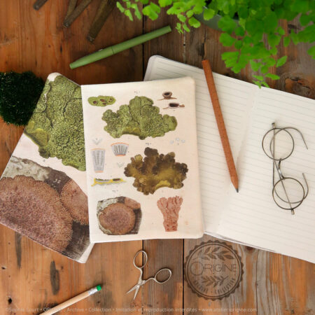 housse de carnet-de-note-tissu-planche-botanique-origine-archive-collection-sophie-court.2