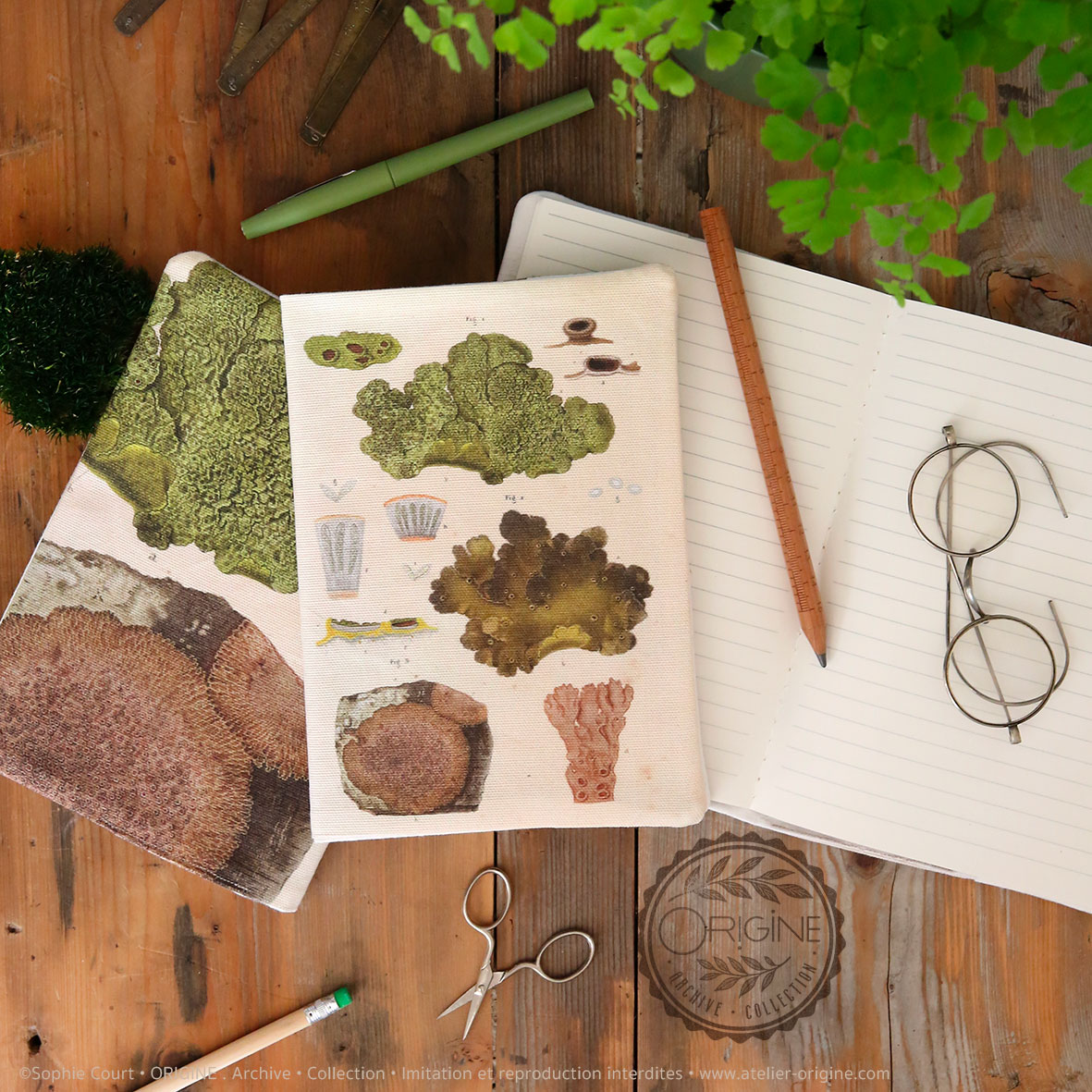 housse de carnet-de-note-tissu-planche-botanique-origine-archive-collection-sophie-court.2