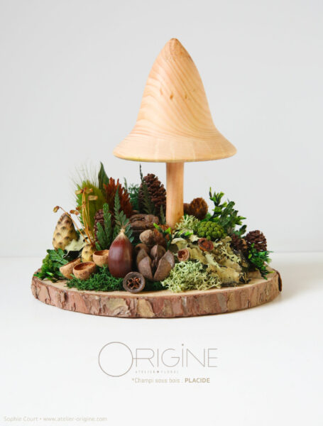 champignon-sous-bois-vegetaux-stabilisé-decoration-automne-foret-origine-atelier-floral3