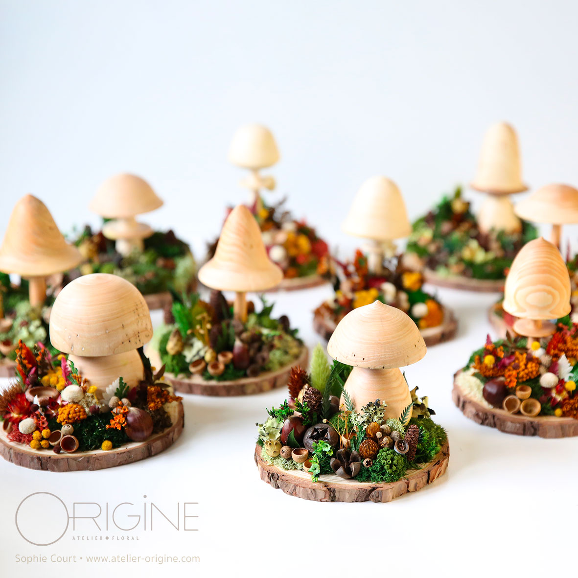 champignon-sous-bois-vegetaux-stabilisé-decoration-automne-foret-origine-atelier-floral28